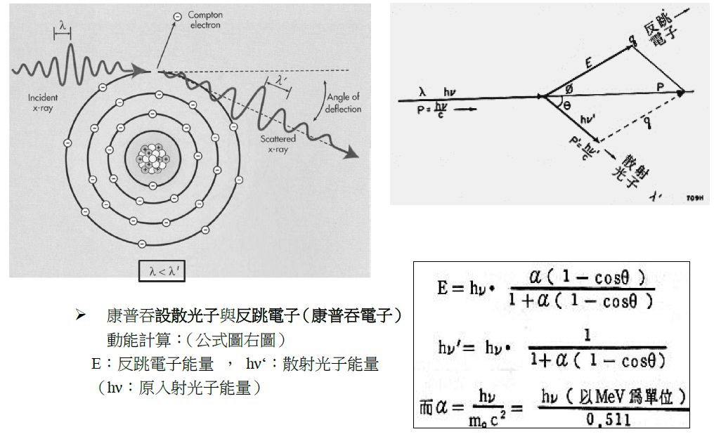 5d280beee589e.jpg#s-1016,618