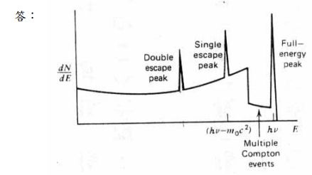 5d289d9ad536c.jpg#s-439,246