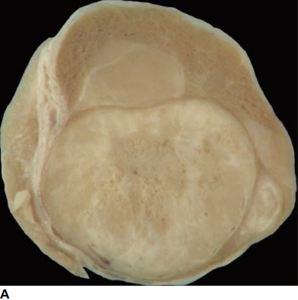 5d2aead87d5e6.jpg#s-592,596