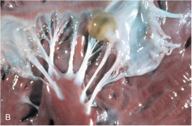 5d2aecc73ddd2.jpg#s-613,403