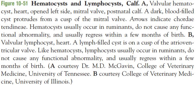 5d2aecdd6e335.jpg#s-651,283