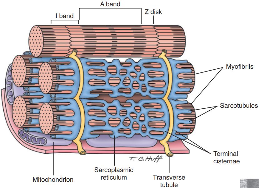 5d2aef7f997c1.jpg#s-829,602