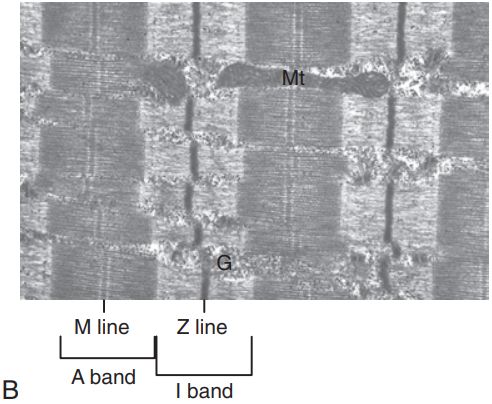 5d2aef97949df.jpg#s-492,404