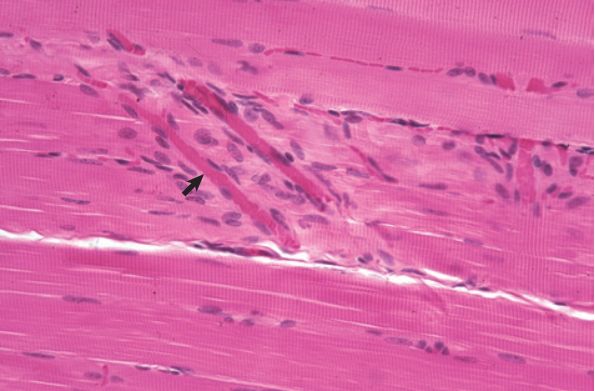 5d2aefb4b494b.jpg#s-595,391