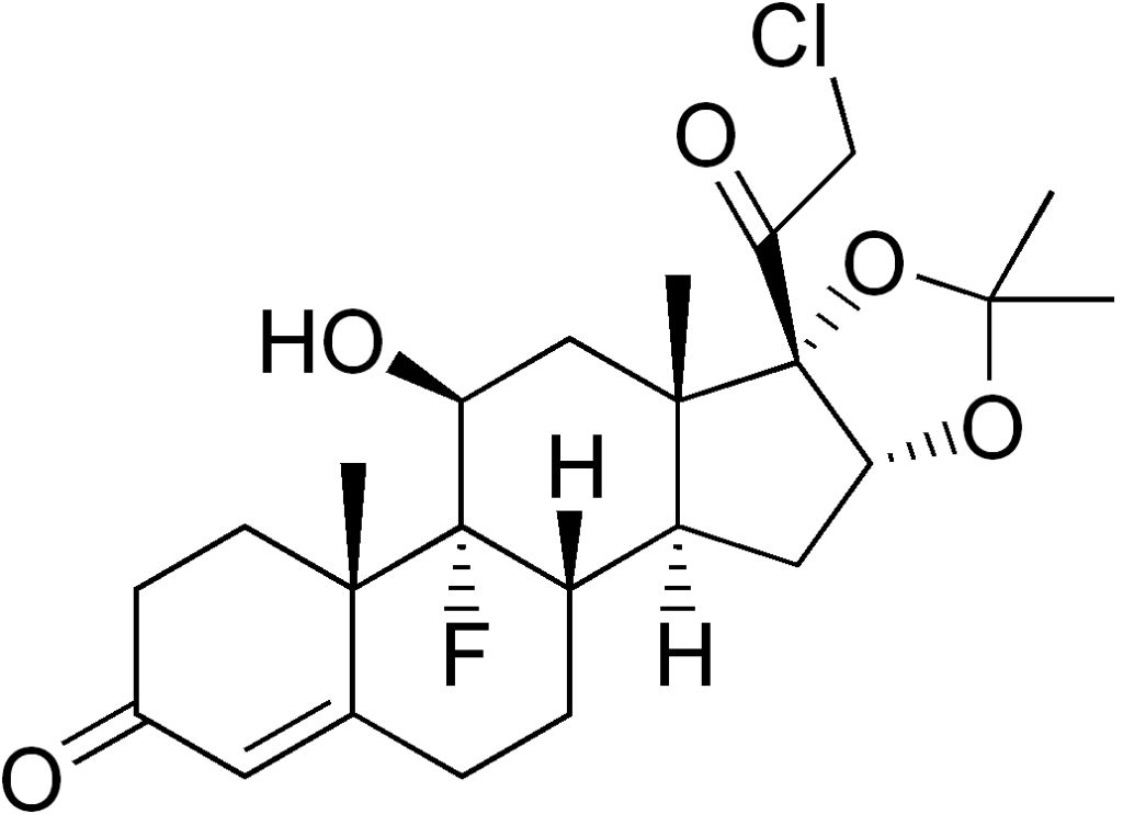 5d2d18f69ba7c.jpg#s-1024,742