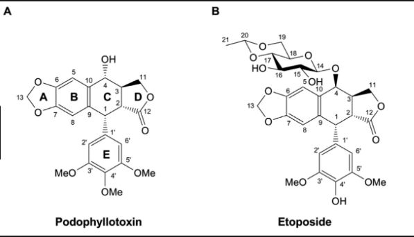 5d2d61b56adb4.jpg#s-597,342