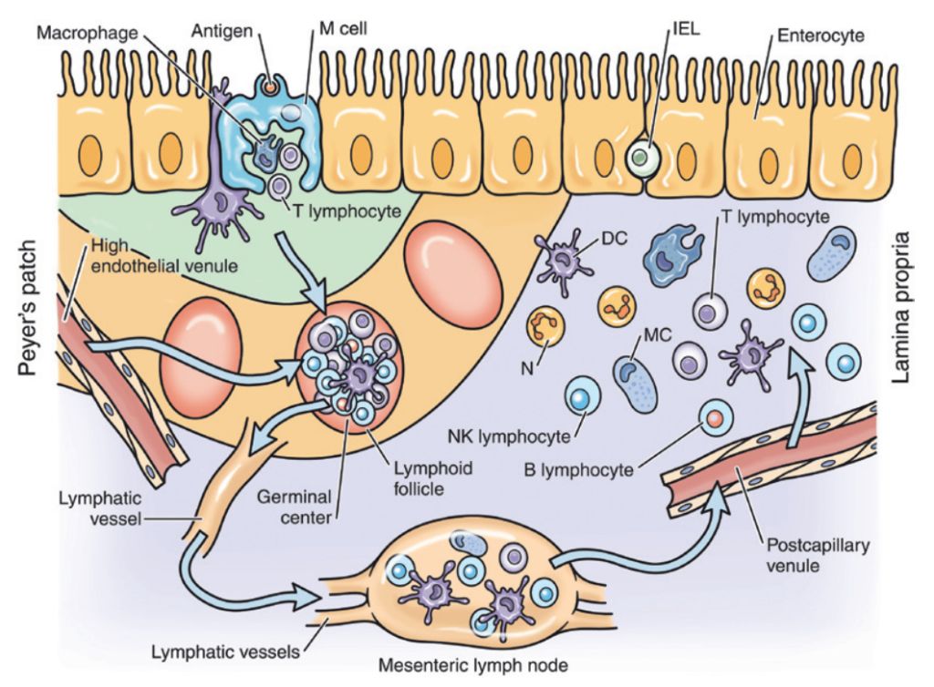 5d2d8a6f47567.jpg#s-1024,754