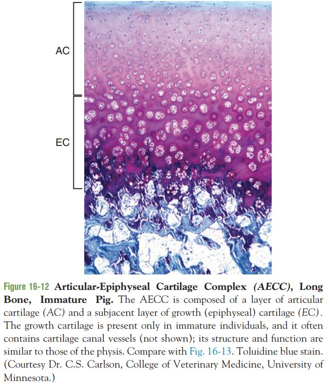 5d2dc8546381a.jpg#s-656,771