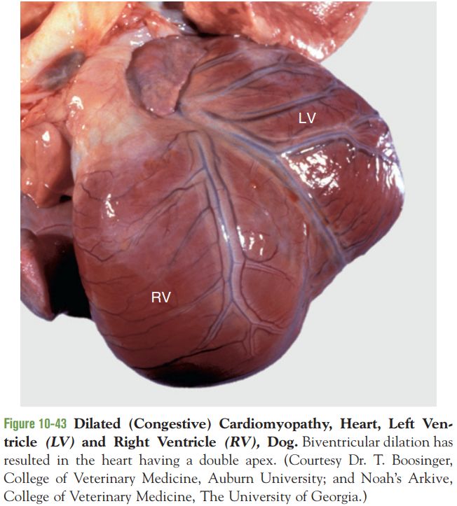 5d2f180e65ebb.jpg#s-652,723