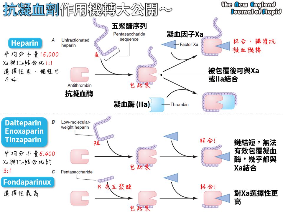 5d367a081bc53.jpg#s-960,720