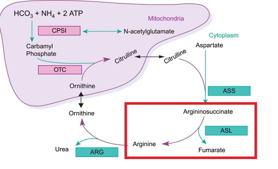 5d370660ed3a8.jpg#s-556,339
