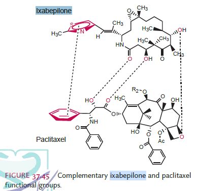 5d37c57f202de.jpg#s-388,377