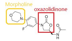 5d3817abde320.jpg#s-232,134