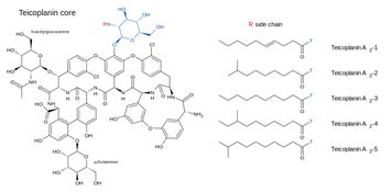 5d38221c325de.jpg#s-356,175