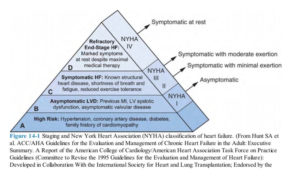5d386bf6df1cf.jpg#s-924,568