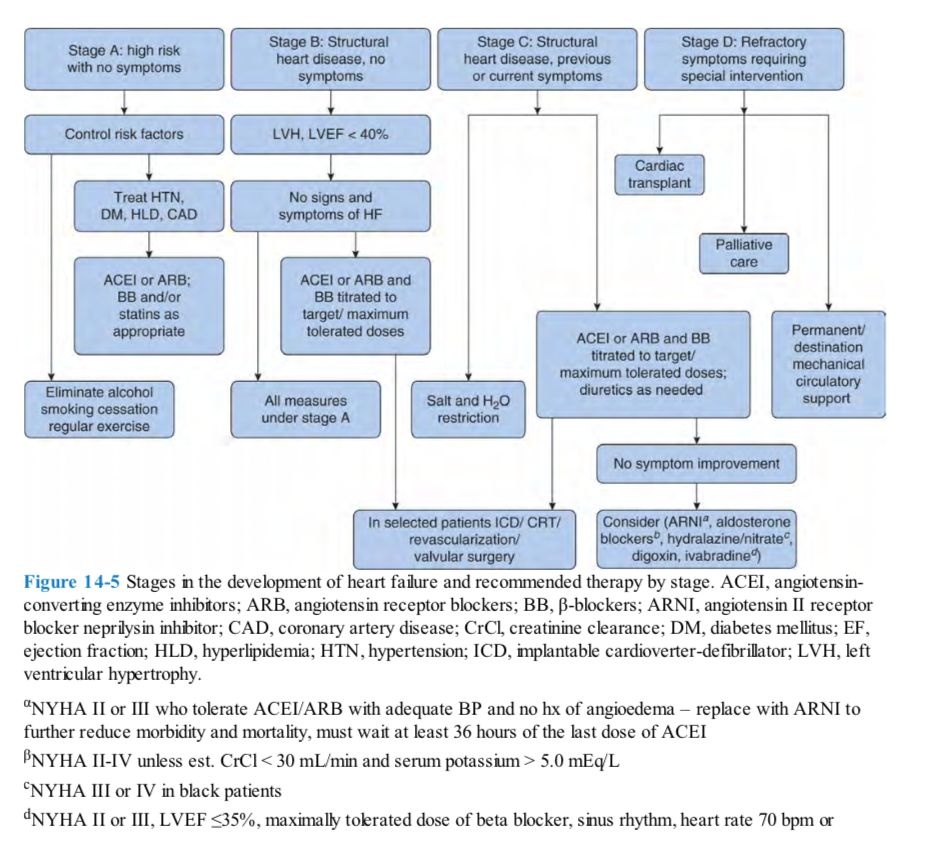 5d386bff8c333.jpg#s-930,862