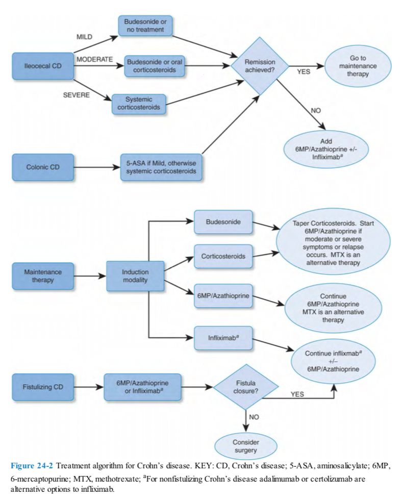 5d3acdc6772e5.jpg#s-790,984