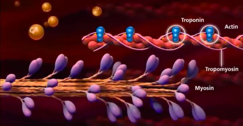 5d3da3786140d.jpg#s-810,420