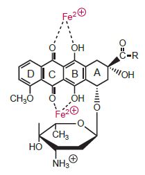 5d3fce374a6a9.jpg#s-209,253