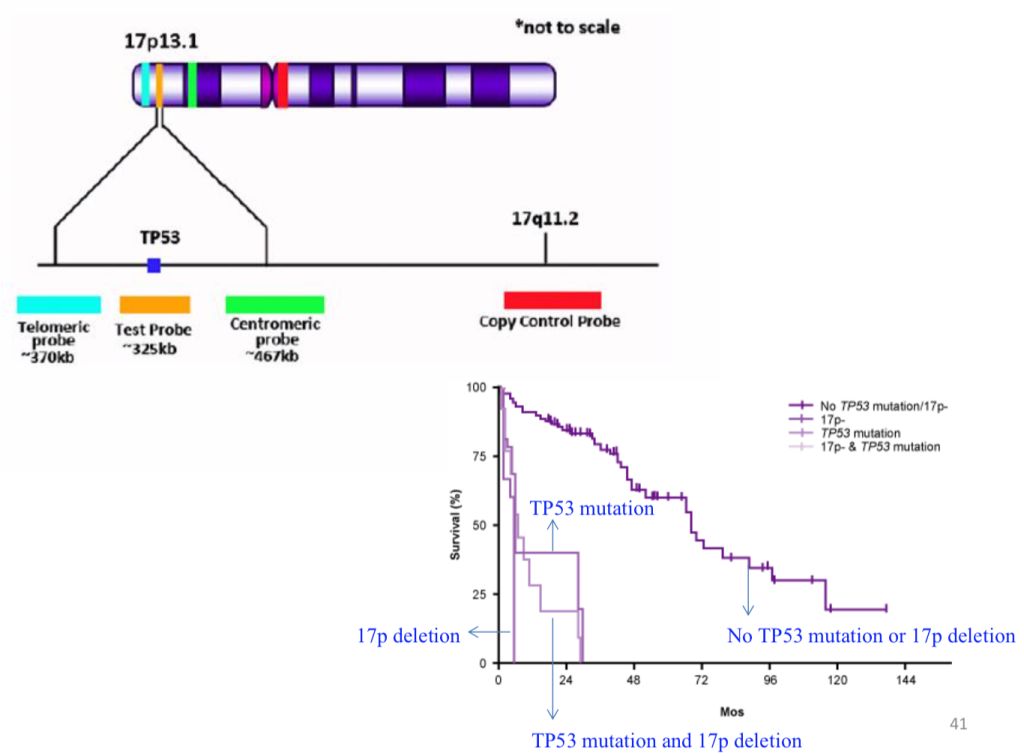 5d413bb8e96d8.jpg#s-1024,756