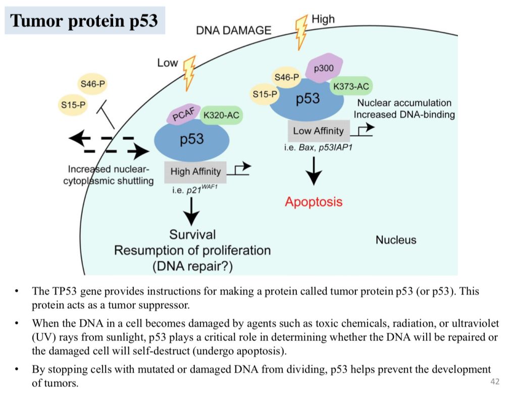 5d413bc829564.jpg#s-1024,785