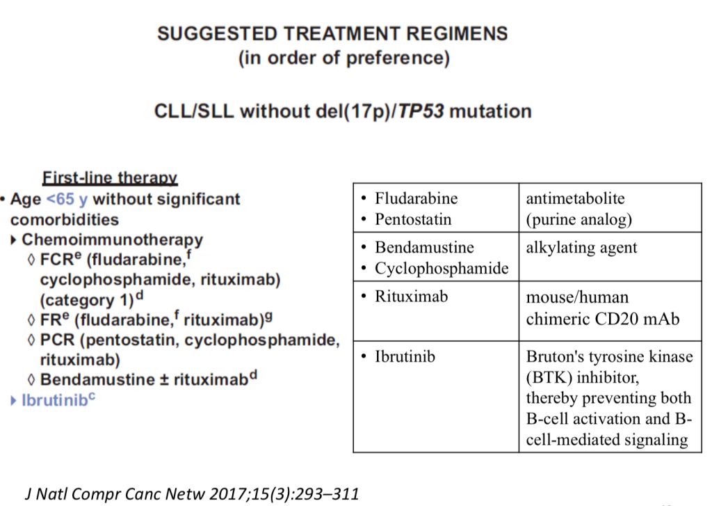 5d413cf35bf44.jpg#s-1024,727
