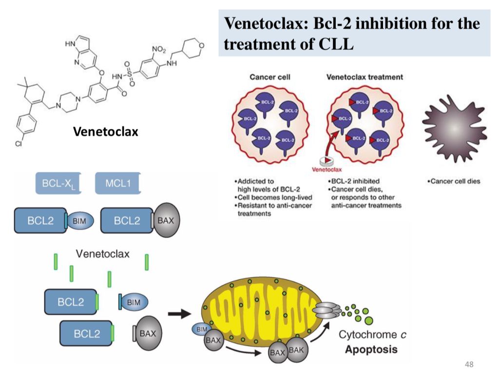 5d413d4502015.jpg#s-1024,757