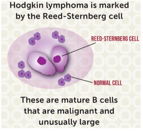 5d413d5942000.jpg#s-470,430