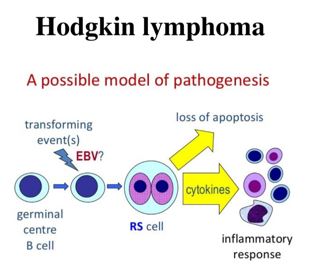 5d413d67143f9.jpg#s-1024,912