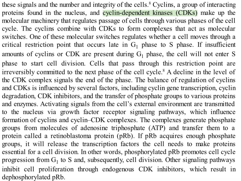 5d4141b60c75a.jpg#s-1024,768