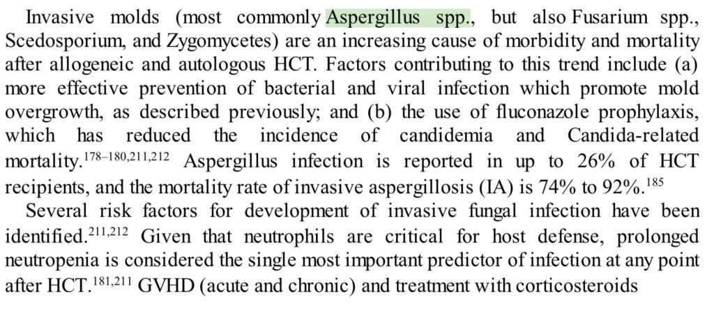 5d41a988dc68a.jpg#s-1024,446