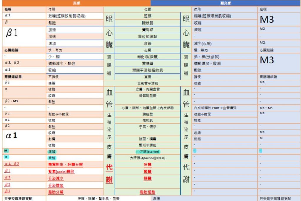 5d5017a59c414.jpg#s-1024,685