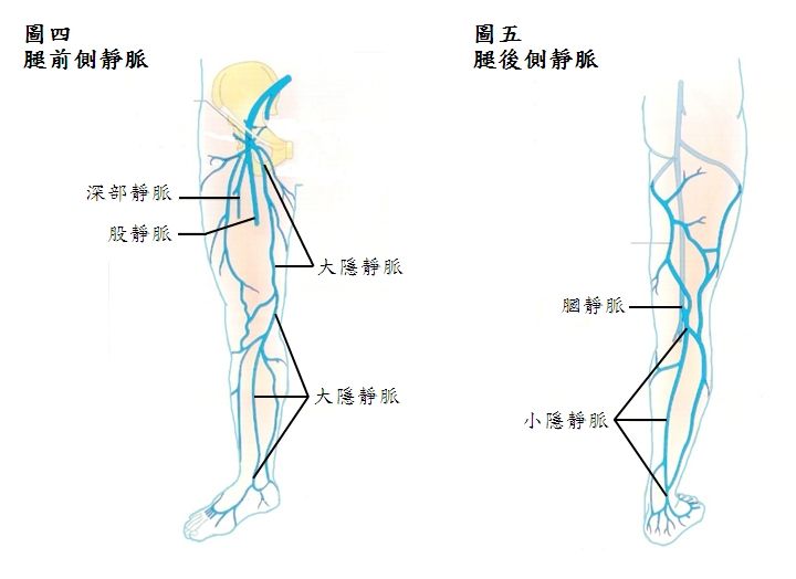 5d5cfb109cead.jpg#s-720,524