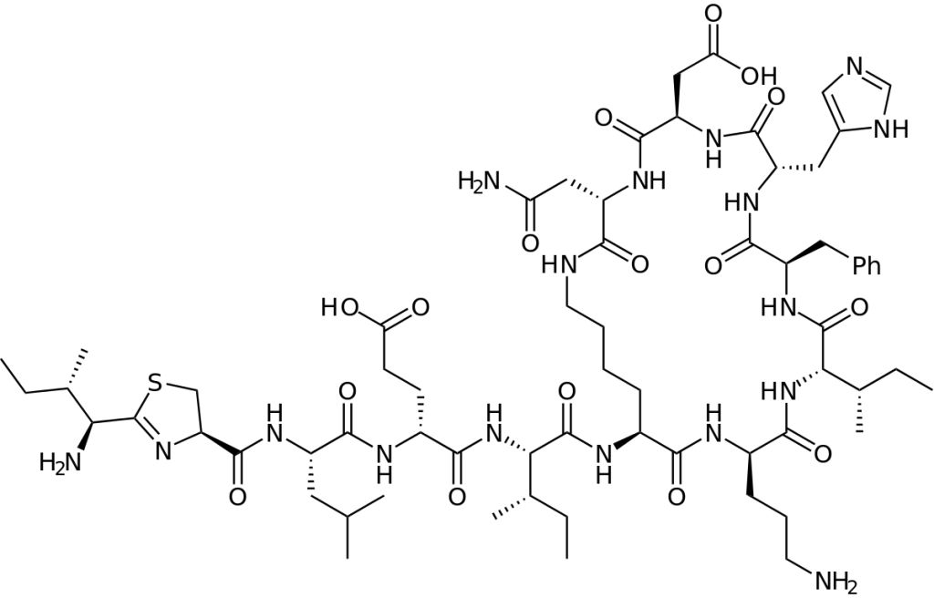 5d60fdaea4343.jpg#s-1024,656