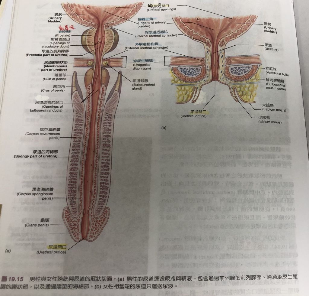 5d67f062e7660.jpg#s-1024,979