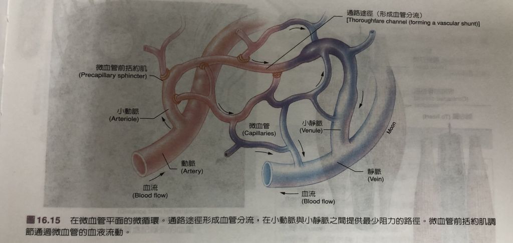 5d6cb06becf78.jpg#s-1024,485