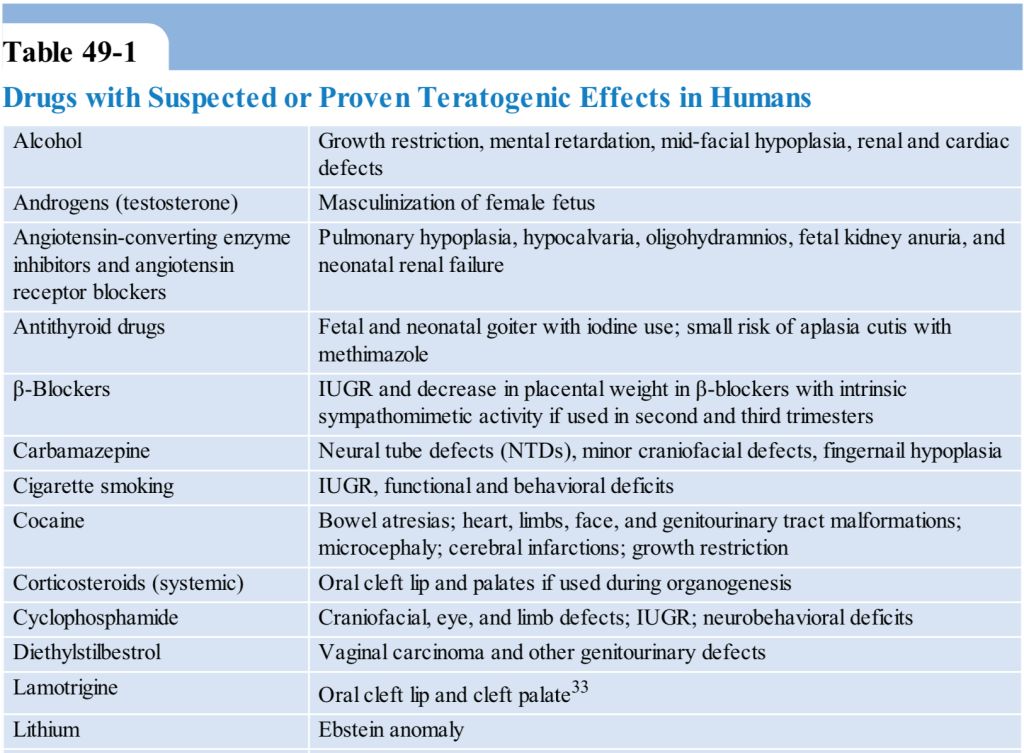 5d6e3599c1339.jpg#s-1024,753