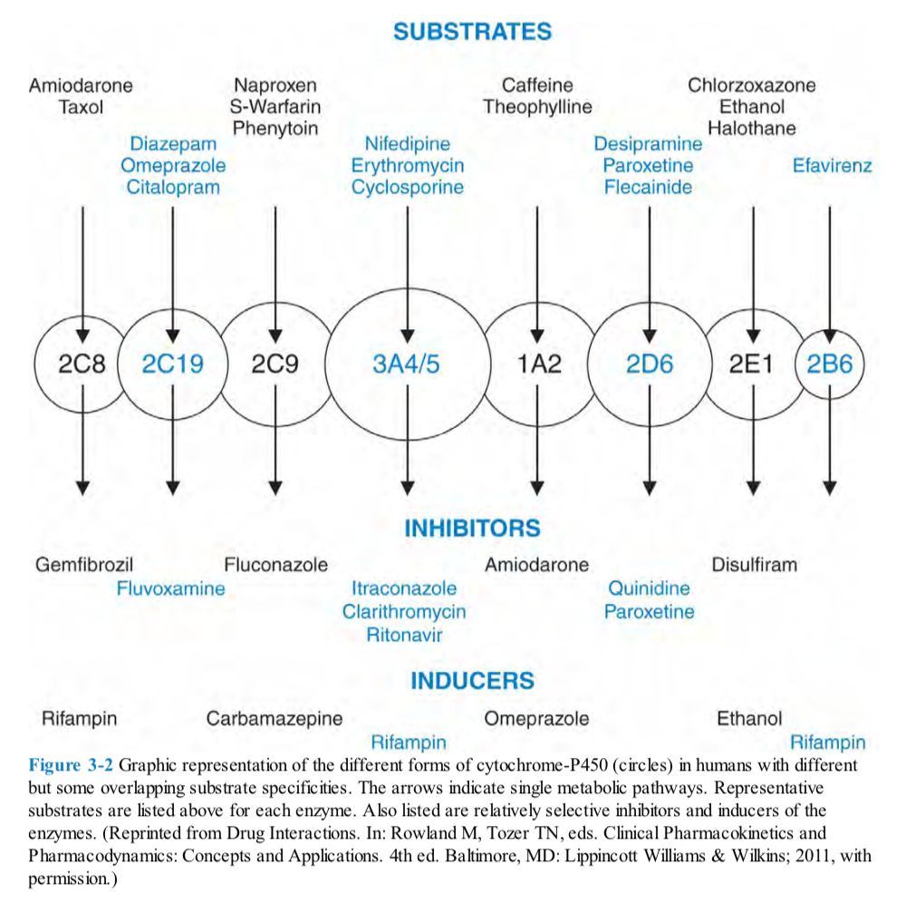 5d6e3d4305b62.jpg#s-1000,996