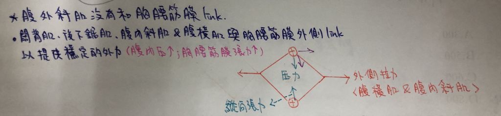 5d70bcf342c61.jpg#s-1024,238