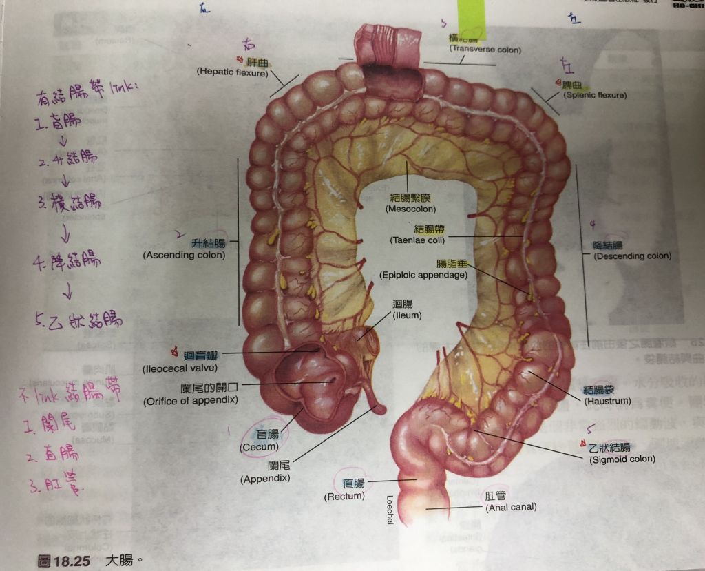 5d7c90dfc2240.jpg#s-1024,829