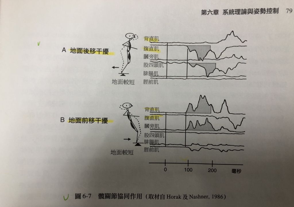5d945db9246e9.jpg#s-1024,723