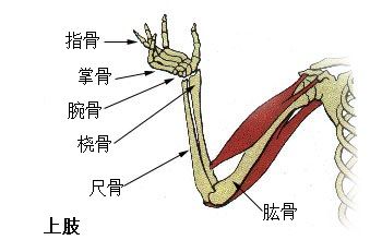 5d96efd7e7d9f.jpg#s-350,231