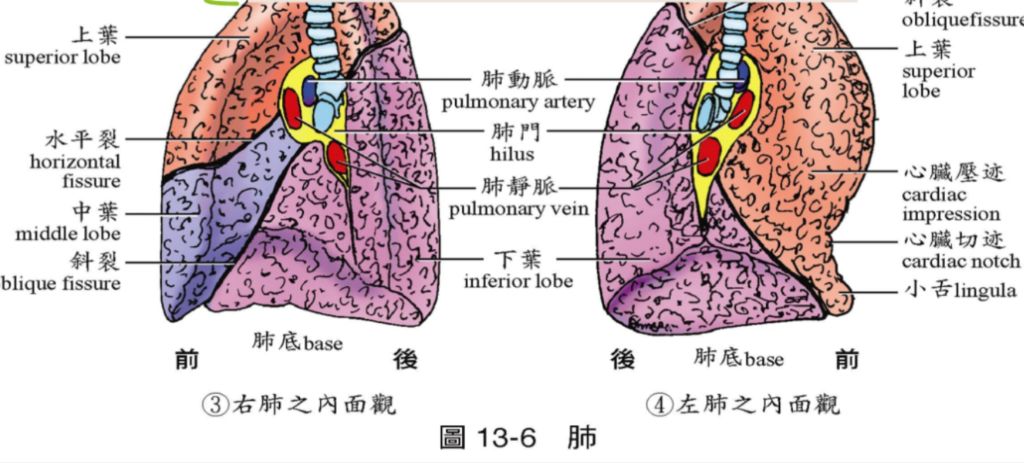 5da3da5a59853.jpg#s-1024,463