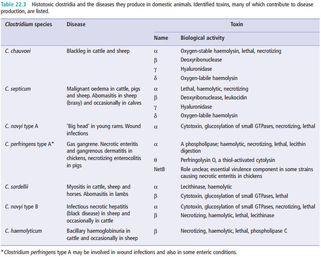 5dab47d2a4a03.jpg#s-661,530