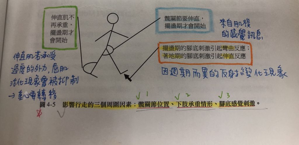 5db2b5044083c.jpg#s-1024,496