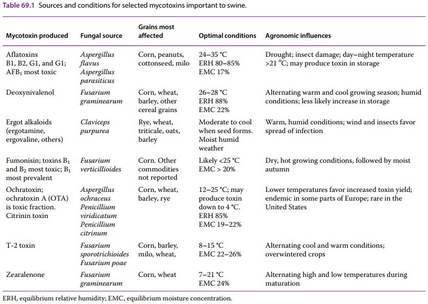 5db5cad399ff2.jpg#s-834,594