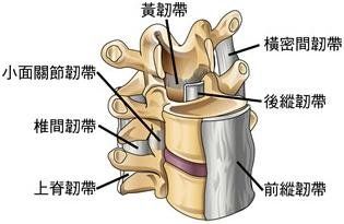 5db695ad11f0a.jpg#s-315,205