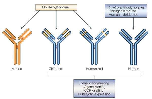 5dba75d6ae208.jpg#s-600,392