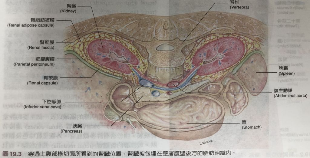 5dc2c9d86c21a.jpg#s-1024,522