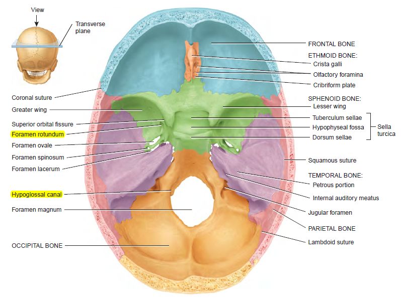 5ddfbfcede795.jpg#s-797,598